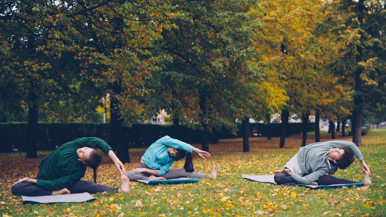 Services Three people practicing yoga in a park during fall surrounded by trees.