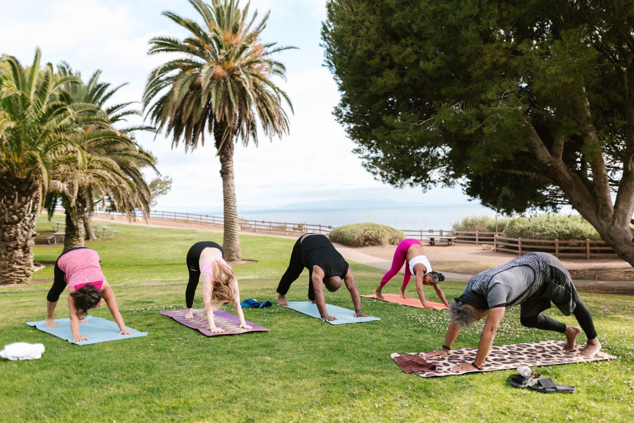 Home Group practicing yoga outdoors in a scenic park with palm trees, focusing on wellness and fitness.